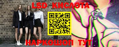 соль ск Новодвинск