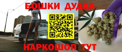 соль ск Новодвинск