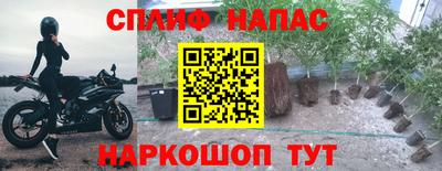 соль ск Новодвинск