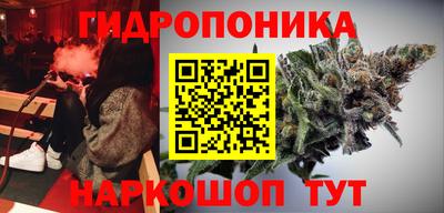 соль ск Новодвинск