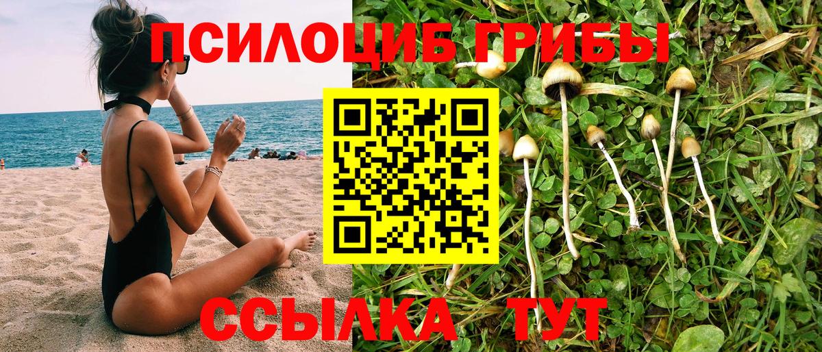 Галлюциногенные грибы мицелий Фрязино