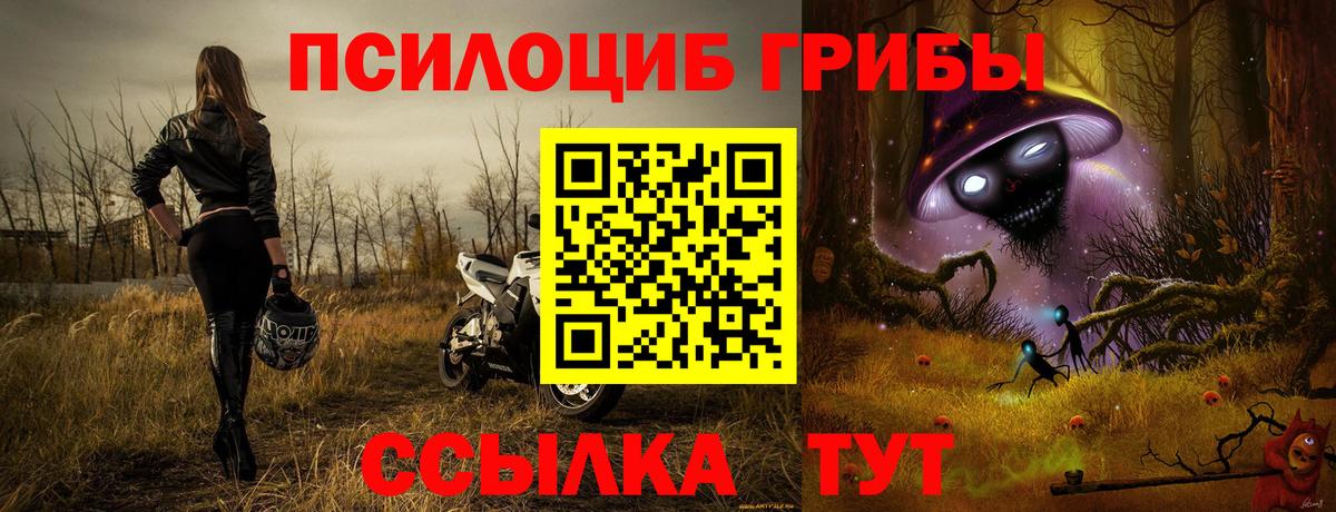Псилоцибиновые грибы Cubensis  Вход с VPN  Псилоцибиновые грибы Psilocybe  Фрязино 